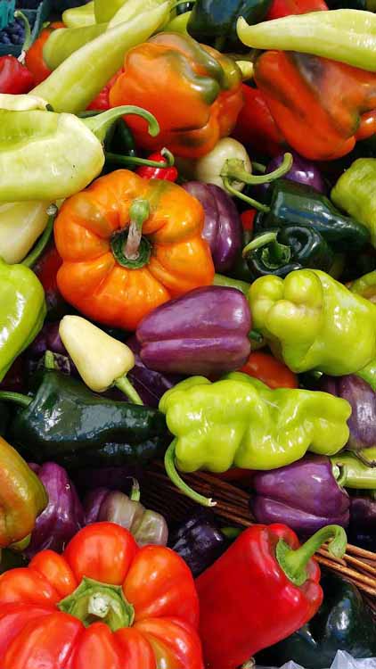 vegetables